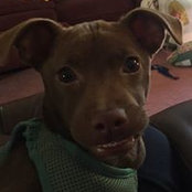 Loretta Taylor's photo