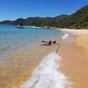 Minh Phan's photo