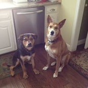 Mike Bingham's photo