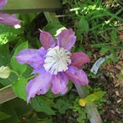 Sue Guthrie's photo