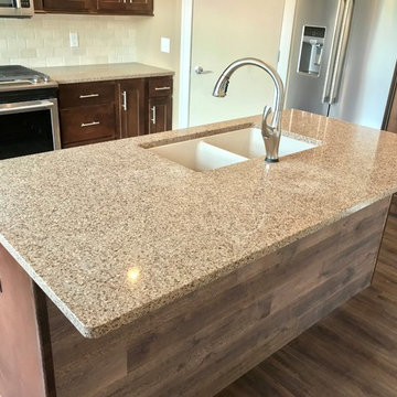 Sherrard  IL New Construction Koch Cabinets Birch Mocha MSI Quartz