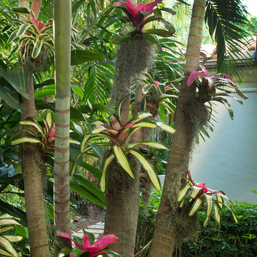 Jupiter Waterfront Paradise
