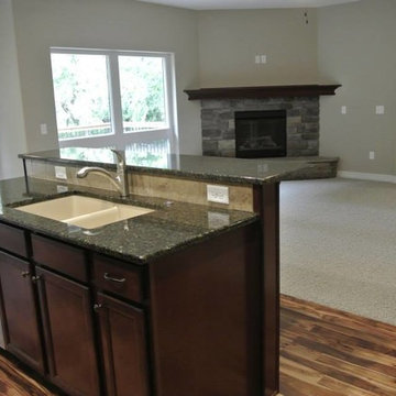 Washington Spec House 2
