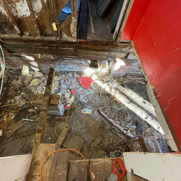Termite Damage Is at it Again
