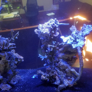 Bubble Crown 370 gallon aquarium