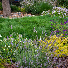 Landscape ideas
