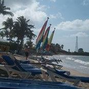 Laura Hood's photo