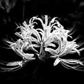 Jesse Matthews's photo
