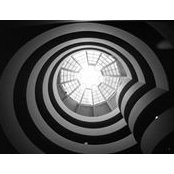 Adela Terpo's photo