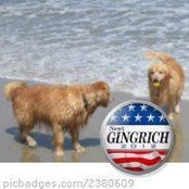 Brian Smith's photo