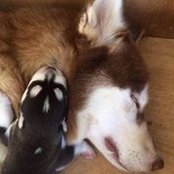 Foto von Ryuuen Cho