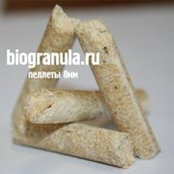 Дмитрий Таликов's photo