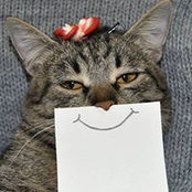 Sandra Lanni's photo