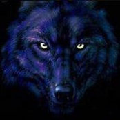 David Moya's photo
