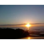 Cecilia Caryl's photo