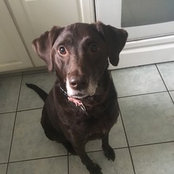 Addie Ps foto