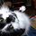 beryl_newell0