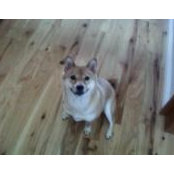 Cindy Varley's photo