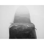 Qian Li's photo