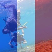 Patrick Lim's photo