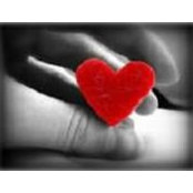 Carol Crenshaw's photo