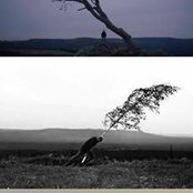 Giuseppe Babilonese's photo