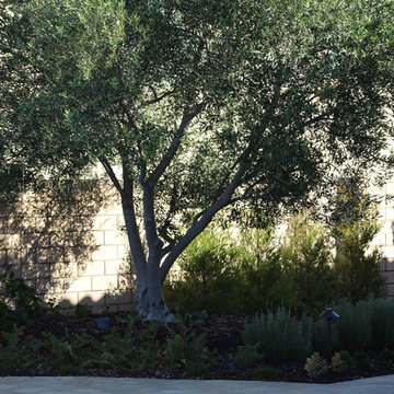 Stonebridge - San Diego