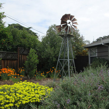 The Baker Family's California Native Garden