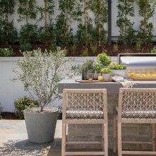 Poinsettia Outdoor