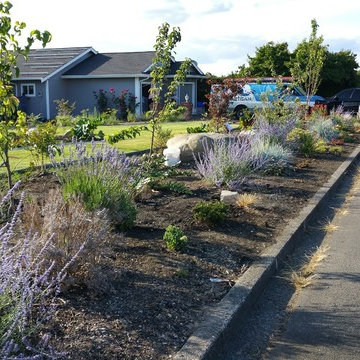 Edible Front Yard