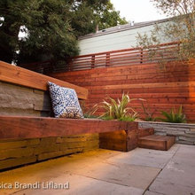 Designer Planting