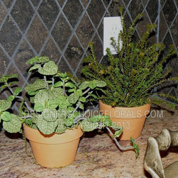 The New Greenery - Products