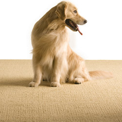 Lee's Carpet Pet Safe - Flooring