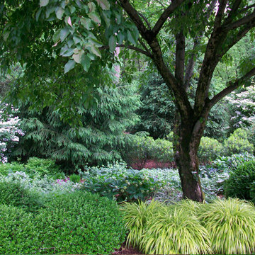 Landscape Design