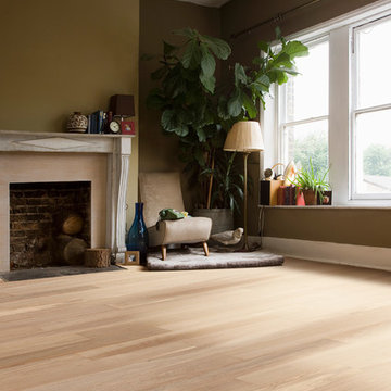 Classical Elegance | Oak Prelude