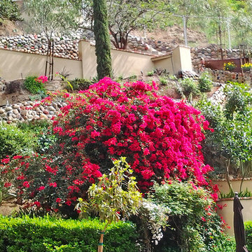 Hillside Landscaping Idea--Garden & Retaining Walls