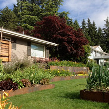 Raised garden beds