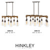 Hinkley Denton Ten Light Linear Chandelier 3269IN