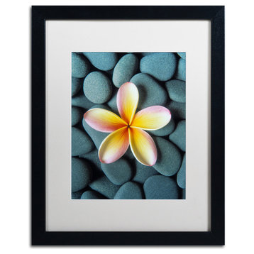 'Plumeria & Pebbles 5' Matted Framed Canvas Art by David Evans