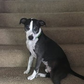 Kim Masich's photo