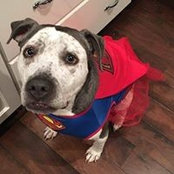 Megan Westphal's photo