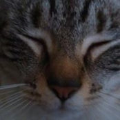Catrina Davis's photo