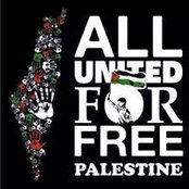 Karim Ibrahim's photo