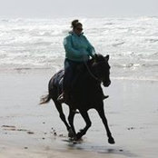 Tami Fawcett's photo