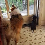 Toni Silverthorn's photo