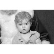 Jonathan Pitt's photo