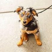 Alison McGrath's photo