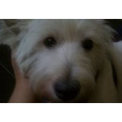 Ivy Greenman's photo