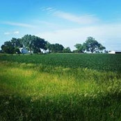 Julie Lillis's photo