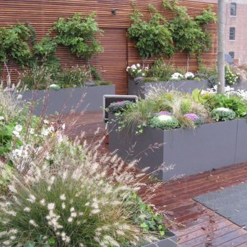 NYC Rooftop